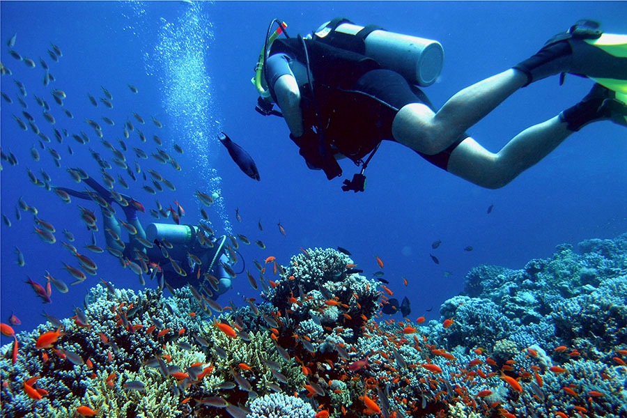 Onde praticar mergulho em Bombinhas? Uma das maiores atrações de Bombinhas são os locais incríveis em que se pode fazer mergulho! Lugares com águas transparentes e com vida marinha preservada