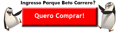 Pacotes Beto Carrero | Conheça o Parque Beto Carrero