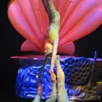 Conheça o show Blum no parque Beto Carrero World