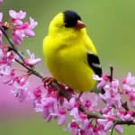 Como é o clima de Bombinhas na Primavera? | Casa do Turista