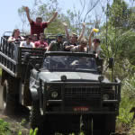 Conheça 5 Passeios de Safári nas Américas do Sul e Central