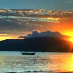 Parque da Costeira de Zimbros: a nova unidade de conservação