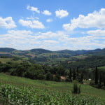 Turismo em Vale do Contestado | Casa do Turista