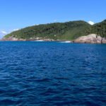 Reserva do Arvoredo: a área mais protegida do litoral catarinense