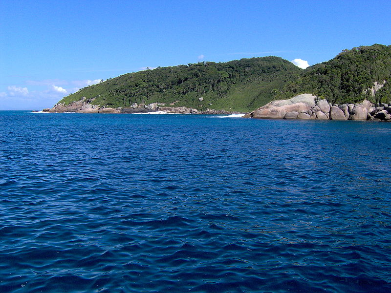 Reserva do Arvoredo: a área mais protegida do litoral catarinense