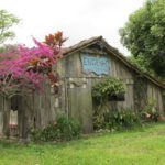 Engenho do Sertão: uma atração cultural em Bombinhas