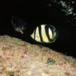 Ecoturismo em Bombinhas