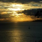 Zimbros não é Zimbros | Casa do Turista - Santa Catarina