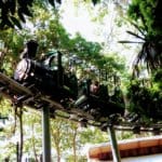 Trem da Fantástica Floresta