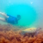 Experiência da Ágatha Naiara Ninow, Monitora do Aqua Aventura