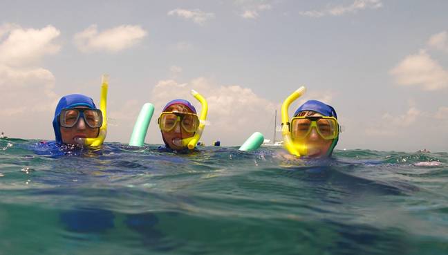 Saiba quais são as melhores opções de mergulho em Bombinhas