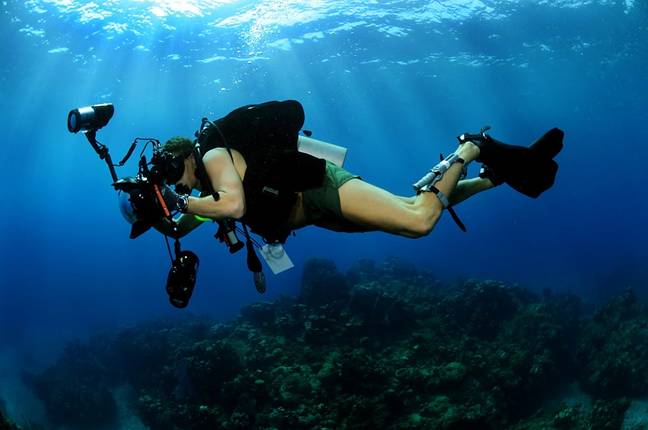 Cursos de mergulho em Bombinhas incluem experiências práticas em alto mar. Fonte: Pixabay.