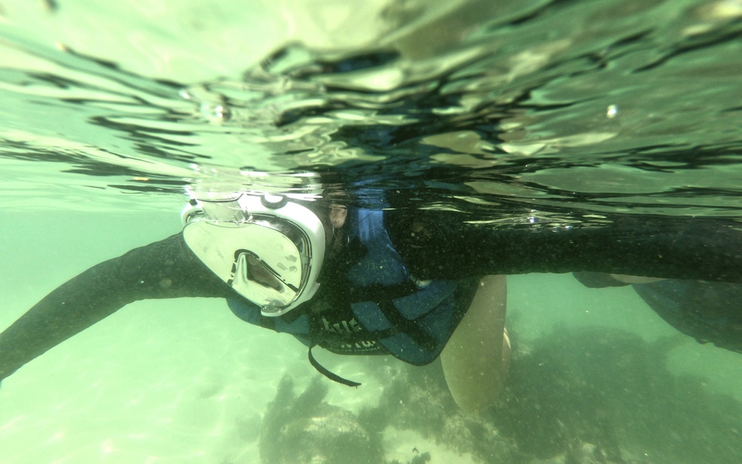 Começou a temporada de snorkeling em Bombinhas – Casa do Turista