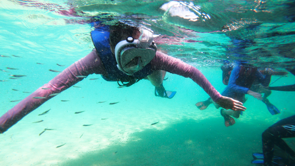 Aqua Aventura - Um mergulho para famílias em Bombinhas