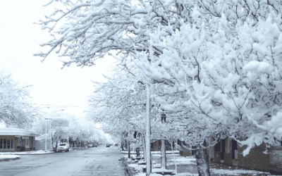 Neve em Santa Catarina: quando e onde encontrar?