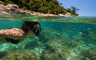 Snorkeling em Bombinhas: onde fazer e como funciona a experiência